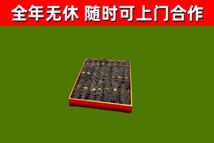 山阴烟酒回收海参.jpg